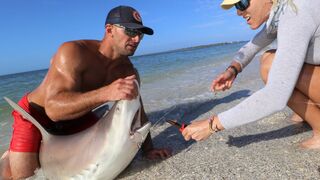 How To Catch GIANT SHARKS Fishing from the Beach! (Captiva Island Fishing)