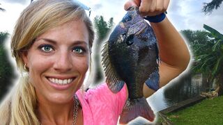 Micro Fishing in the Backyard! HOW TO CATCH BAIT FISH!