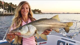 Florida Saltwater Inshore Shark & Snook Fishing Video