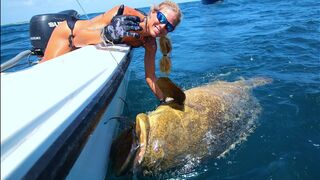 Girl Pulls Up BIG Grouper & Shark on Shallow Wreck Fishing Video