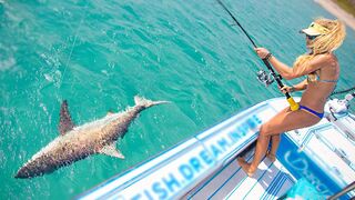 Sight Casting BIG BAIT to Blacktip Sharks in Crystal Clear Water