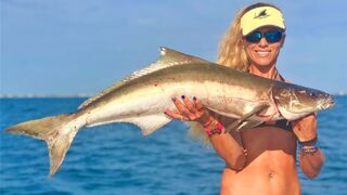 Florida Deep Sea Wreck Fishing for COBIA Video!