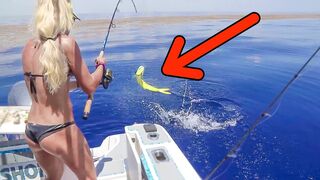 Epic Florida Offshore Dolphin Fishing THIRTY Miles Out!