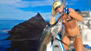 Florida Offshore Fishing for Sailfish; the FASTEST Fish in the Sea!
