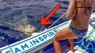 Shark Attack! Teasing Man Eating Sharks with Giant Baits!