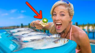 MULLET (Catch Clean Cook) The Results will SHOCK YOU! Smoked Mullet HOW TO