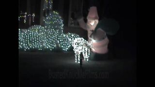 Reindeer Humping - CAUGHT ON CAMERA!