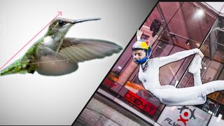 What Can Hummingbirds Teach An Indoor Skydiver?