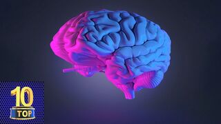 Top 10 surprising facts about the brain