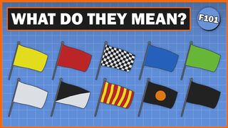 What do all the flags mean in F1?