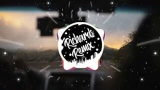 Selena Gomez - My Mind & Me (Richards Remix)