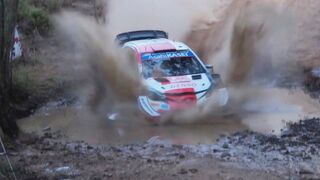 WRC TRIBUTE 2021: other clips that you have to watch
