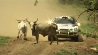 WRC TRIBUTE 1995-1996: Maximum Attack, On the Limit, Crashes & Best Moments