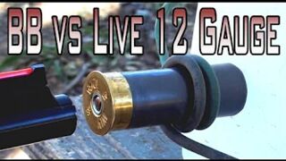 BB Fired at a Live 12 Gauge Shell
