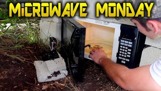 Live 22LR Ammo in a Microwave