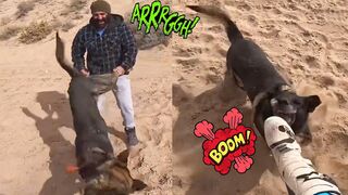 ATTACKED in the DESERT! These SAVAGE Dogs went WILD!!!! - NO LIFE Like the BIKE LIFE! [Ep.#201]
