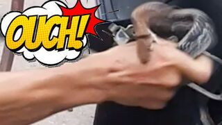 FUNNY, CRAZY, KIND, BAD & MAD MOTORCYCLE MOMENTS 2020 [Ep.#32]