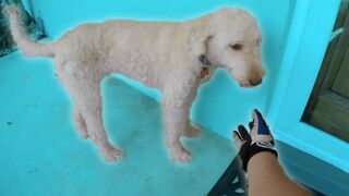 Bikers Are Awesome - Random Acts of Kindness [Ep.#41]