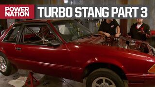 Race Ready Roll Cage for the Turbo Stang - Horsepower S12, E20