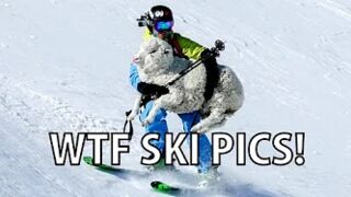 Best WTF Ski Pictures!