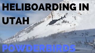 Heliboarding PowderBirds Utah - 2019
