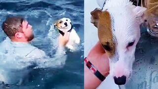 SAVED A PUPPY IN THE MIDDLE OF THE OCEAN ???? | WIN FAIL FUN