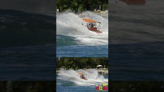 Balls to the Wall #shorts