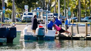 Chit Show Time ! Black Point Marina Boat Fails (King of Haulover)