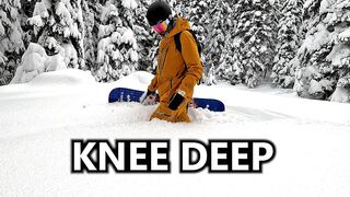 Knee Deep Powder Snowboarding on Blackcomb
