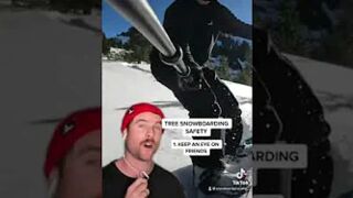 Tree Snowboarding Safety