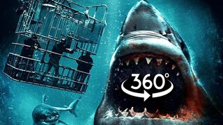 SHARK CAGE VR Experience 360