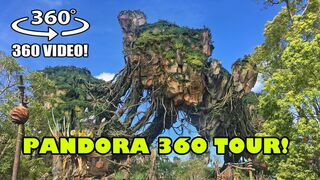 Pandora World of Avatar 360 Degree VR Tour Walt Disney World Animal Kingdom