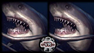 ???? VR VIDEOS 3D SBS Underwater for VR BOX 3D not 360 VR