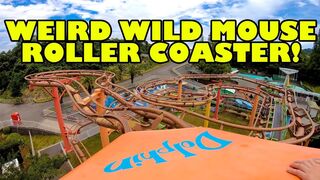 Weird Wild Mouse Roller Coaster! Front Seat Onride POV Misaki Park Japan