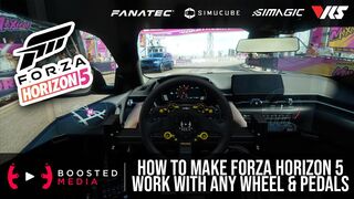 Get Forza Horizon 5 Working with ANY WHEEL & PEDALS